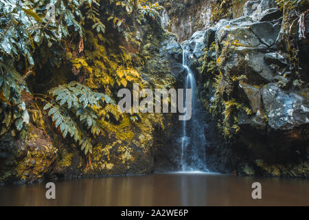 Wasserfall im Parque Natural da Ribeira dos Caldeiroes, Sao Miguel, Azoren, Portugal Stockfoto