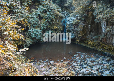 Wasserfall im Parque Natural da Ribeira dos Caldeiroes, Sao Miguel, Azoren, Portugal Stockfoto