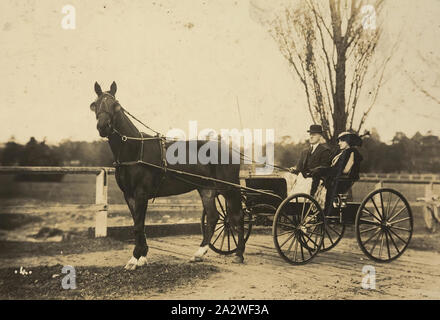 Digitale Fotografie - Mann & Frau im Pferd angetrieben Buggy, Elwood Park, ca. 1917, Mann und Frau, die ein Pferd und Buggy in Elwood Park. Der Mann hat die Zügel in die Hand und trägt eine Melone. Die Frau trägt ein breites geströmter Hut. Auf diesem Foto sehen Sie Matthäus und Jeanette Kelly ein Pferd und Buggy in Elwood Park [Elster Park, Elwood?] fahren, ca. 1917. Sie waren im Jahre 1917 verheiratet und lebte in Elsternwick. Matthew war ein Sattler in seinem Vater John Kelly's Sattlerei. Sie Stockfoto