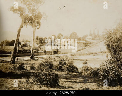 Digitale Fotografie - Ausblick auf die Straße, Healesville, 1919, Ansicht von paddock von Ungemacht street, bis auf einem Hügel. Es gibt scrubby Setzlinge Gummi im Vordergrund, einem hölzernen Zaun entlang der Straße und die Häuser auf der anderen Seite. Dieses Foto zeigt einen Blick in eine Straße in Healesville, 1919. Das Foto wurde von Walter Burke auf seinen Jahresurlaub genommen Stockfoto