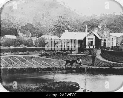 Negative - Ballarat, Victoria, vor 1875, 'Ercildoune' Homestead See und die Gärten. Es ist eine Frau auf dem Pferd im Vordergrund und eine zweite, gesattelt, Pferde, die nicht auf einen Reiter haben Stockfoto