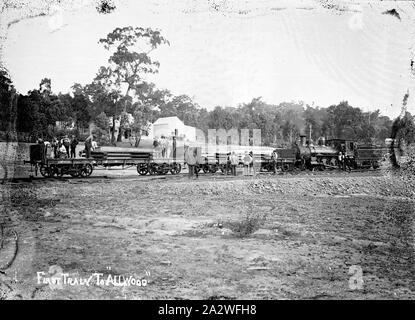 Negative - Victorian Railways, S-Klasse, Allwood, Victoria, circa 1905, der Zug drückt eine Anzahl der Tieflader. Foto erscheint einem viktorianischen S-Klasse Dampflok mit Doppel-drehgestell Flachbild Lastwagen mit Schwellen oder andere Holz für den Bau der Fotografie geglaubt wird zu Bau o abbilden zu zeigen Stockfoto