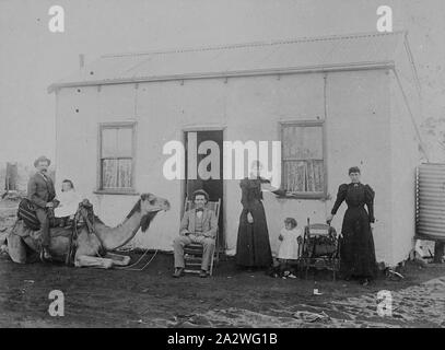 Negativ - Mann auf Kamel, Western Australia, um 1895, EIN Mann auf ...