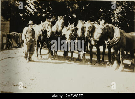 Digitales Bild - Johannes Lawrey mit Pferd, Team, dem Hochland, Kinglake, circa 1930, digitale Kopie von original Foto von Johannes Lawrey mit seinem Pferd Team, im Hochland, Kinglake, Dies ist Teil einer Sammlung von Familie Fotos zu 'Hochland' Homestead beziehen. Die Lawrey Familie waren frühe Siedler im Kinglake Bereich und im 'Hochland' Homestead aus den späten 1890er Jahren bis 1950 lebte. Der Schornstein aus 'Hochland' ist Teil der Viktorianischen Buschfeuer Sammlung Stockfoto