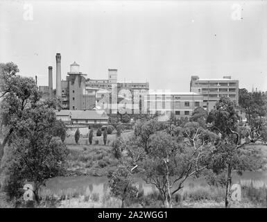 Glas Negativ, Abbotsford Werk aus über den Fluss Yarra, ca. 1940 s, Schwarz und Weiß, Glasplatte negativ der Kodak Australasia Pty Ltd Fabrik in Abbotsford, Schrägansicht aus über dem Fluss Yarra, circa 1940. Dies ist eine von 5 Glasnegative, der innerhalb einer Box. 11 Negative in insgesamt (5 Glasplatten und 6 Celluloseacetat negative in pergamyn Taschen). Negative verfügen alle über Außenansichten der Abbotsford Fabrik, und aktivieren Sie das entsprechende Kontrollkästchen, damit Sie im kam, war markiert Stockfoto