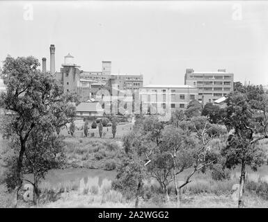 Glas Negativ, Abbotsford Werk aus über den Fluss Yarra, ca. 1940 s, Schwarz und Weiß, Glasplatte negativ der Kodak Australasia Pty Ltd Fabrik in Abbotsford, Schrägansicht aus über dem Fluss Yarra, circa 1940. Mitarbeiter können in das Naherholungsgebiet der Gründe gesehen werden, möglicherweise spielen Sport wie Kricket oder Fußball. Dies ist eine von 5 Glasnegative, der innerhalb einer Box. 11 Negative in insgesamt (5 Glasplatten und 6 Celluloseacetat negative Stockfoto