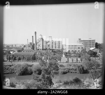 Glas Negativ, Abbotsford Werk aus über den Fluss Yarra, ca. 1940 s, Schwarz und Weiß, Glasplatte negativ der Kodak Australasia Pty Ltd Fabrik in Abbotsford, Schrägansicht aus über dem Fluss Yarra, einschließlich der Ufer und Bäume im Vordergrund. Dies ist eine von 2 Glasnegative, der innerhalb einer Box mit der Aufschrift "GP-90" durch "Kodak Corporate Museum, Coburg. Beide verfügen über Außenansichten der Abbotsford Pflanze aus dem Fluss Stockfoto