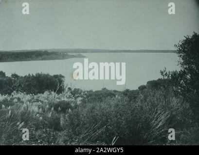 Fotografie - Lake Dobson, King Island, 1887, einer der 32 Schwarzweiß-Fotos in einem Album [zwei Lose sind], die von einem J Campbell während ein Feld Naturforscher "Club für Victoria Expedition auf King Island. Das Album enthält auch Karten von King Island in der vorderen inneren Abdeckung und zurück Seite und zahlreiche Zeitungsausschnitte über die Expedition. Eine der Zeitungsausschnitte, durch eines der Mitglieder der Partei geschrieben Stockfoto