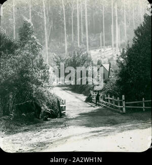 Lantern Slide-Fernshaw Dorf, Healesville, Victoria, Schwarz-Weiß-Bild der Brücke über Watts River bei Fernshaw Dorf auf dem Schwarzen Sporn zwischen Healesville und Narbethong, die für 26 Jahre in den 1800er Jahren existierte, fotografiert von A.J. Campbell, der auch seine Skizze von dieser Szene in seinem Skizzenbuch enthalten. Das Dorf ist seit langem verschwunden, von der populären Fernshaw Picknickplatz ersetzt durch Parks Victoria beibehalten Stockfoto