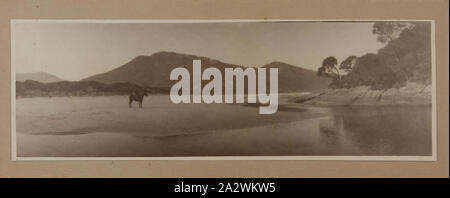 Montiert Foto-Mann auf Pferd, Mund von Tidal River, Wilsons Promontory, Victoria, um 1910 Dieses Bild wurde von Baldwin Spencer während seiner Amtszeit auf dem Wilsons Promontory Vorstand übernommen. Spencer hatte eine führende Figur in der Kampagne der Prom ein Naturschutzgebiet und Mitte 1905 war es eine ständige Nationalpark erklärt. Leider ist die Küste wurde aus der Park beigefügt. Dies war im Jahr 1908 folgende weitere Kampagnen behoben Stockfoto