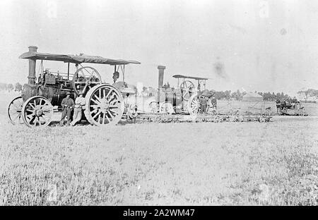 Negative - Dampf Pflügen mit zwei Zugmaschinen jedes Ziehen drei Pflüge, Werribee, Victoria, 1910, zwei dampfbetriebene Zugmaschinen (Aveling und Porter?), jeder ziehen drei Pflüge. Es ist eine Kutschfahrt mit Menschen hinter den Triebwerken. Es gibt zwei Männer vor einem Motor, Sie tragen Hüte. Es gibt viele Bäume und Heuhaufen im Hintergrund Stockfoto