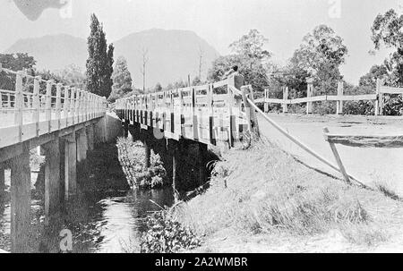 Negative - Mann stand auf der Brücke über den Fluss Acheron Taggerty mit Dom Berg im Hintergrund, taggerty Bezirk, Victoria, ca. 1918 Mann stand auf der Taggerty Brücke über den Acheron River. Cathedral Mountain ist im Hintergrund Stockfoto