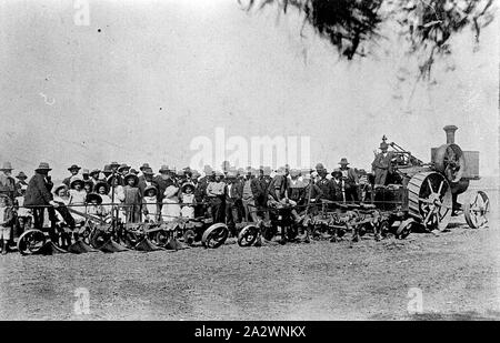 Negative - Cotswold, Maryborough, Victoria, circa 1915, die Demonstration von Pflügen mit einem Büffel Pitts Lokomobile war dies auf ein Eigentum von J. Nicholls Stockfoto