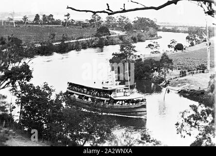 Negative - Bairnsdale Bezirk, Victoria, circa 1935, der Dampfgarer ' Gippsland' auf den Mitchell River Stockfoto