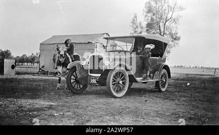 Negative - Dooen North, Victoria, vor 1930, ein kleiner Junge, ein Stier (genannt "Glatzkopf") neben einem Auto. Ein kleiner Junge steht auf dem Trittbrett und ein Mann auf dem Beifahrersitz sitzt Stockfoto