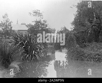 Negative - Launceston, Tasmanien, ca. 1900, einem See im Stadtpark. Albert Hall kann im Hintergrund gesehen werden. Stockfoto