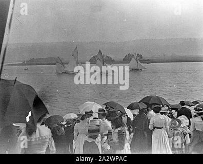 Negative - Launceston, Tasmanien, ca. 1900, Ende einer Yacht Race in der Tamar River Stockfoto