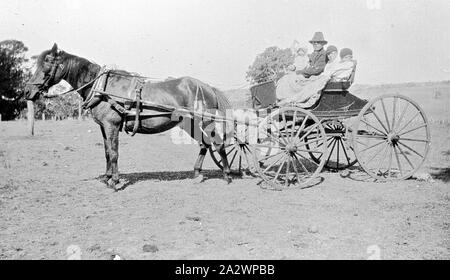 Negative - Tarrenlea, Coleraine, Victoria, 1933, ein Mann mit seinen drei Kindern in einer Pferdekutsche buggy. Sie sind in einer offenen fahrerlager fotografiert. Stockfoto