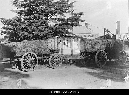 Negative - Ballarat, Victoria, ca. 1915, zwei große Stämme auf Waggons transportiert werden. H Wardle Timberyard im Hintergrund Stockfoto