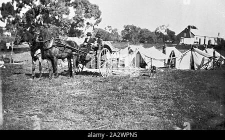 Negative - New South Wales, ca. 1925, Scherer in einem zwei-Pferd gig Verlassen ein Zeltlager. Stockfoto