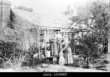 Negative - Gruppe von Frauen Vor einer Hütte, Stawell, Victoria, von Bill Boyd, 1922, Schwarze und Weiße fotografische Negative von der Fotograf William (Bill) Boyd. bildlich darstellen, die landwirtschaftliche Tätigkeiten Familie und das häusliche Leben der Menschen, die das anspruchsvolle Weizen Grenze des Mallee nieder, vor allem in und um die Städte Nandaly & Meer See Stockfoto