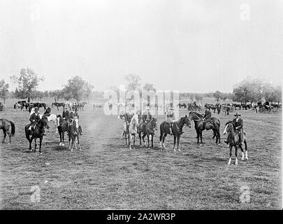 Negative - Regenbogen, Victoria, um 1910, eine Gruppe von Männern zu Pferde im Rainbow zeigen Stockfoto