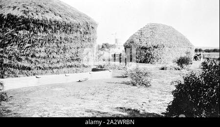 Negative - Manangatang, Victoria, ca. 1930, zwei Heuballen mit Maus wachen Stockfoto