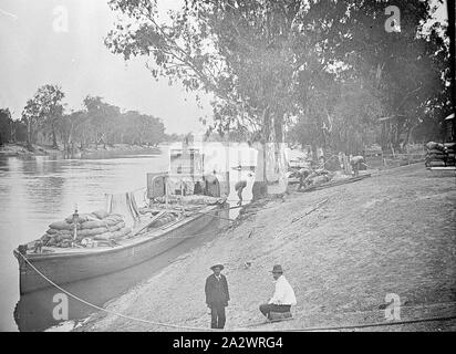 Negative - Euston, New South Wales, ca. 1920, Männer Entladen ein Paddelboot auf dem Murray River Stockfoto