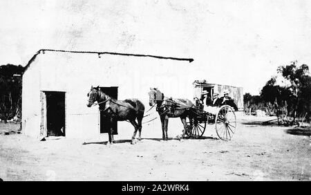 Negative - Ouyen Bezirk, Victoria, 1916, drei Männer in einer Kutsche durch einen Tandem horse Team erarbeitet. Tandem Pferd Teams waren für lange Reisen durch schwere Straßen und Sandhills verwendet Stockfoto