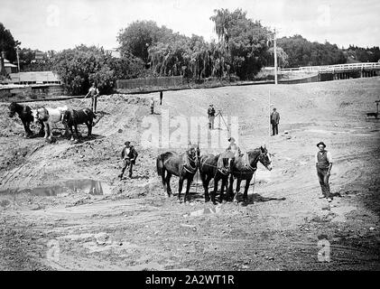 Negative - Bendigo, Victoria, 1916, Pferd Teams Aushub für die Golden Square Bäder. Bendigo Creek ist im Hintergrund Stockfoto