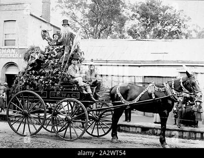 Negative - Bendigo, Victoria, etwa um 1900, ein Pferd und Wagen, die mit Blumen geschmückt wurde. Der Mann an der Spitze des Wagens trägt lange falsche Schnurrhaare und trägt einen Hammer. Der junge Mann neben dem Fahrer zu sein scheint, das Tragen des Feuerwehrbedienfeldes Helm Stockfoto