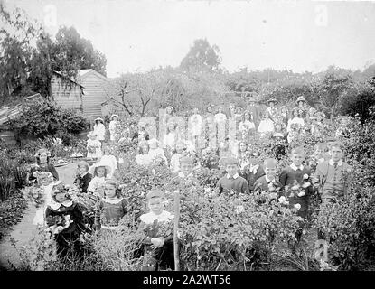 Negative - Bendigo, Victoria, um 1910, eine große Gruppe von Kindern in einem Rosengarten Stockfoto