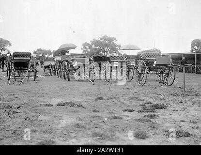 Negative - Wentworth, New South Wales, etwa um 1900, Wagen zum Verkauf. Sie wurden von E.St K. gebaut Zahlen und eine Anzahl von ihnen tragen die Alten" Hinweise. Zwei von ihnen haben Schirme über Ihnen geöffnet Stockfoto