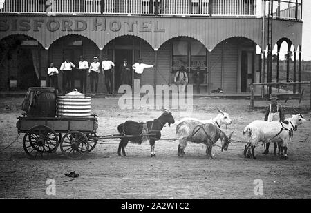 Negative Ziege Zug, Isisford, Queensland, 1906, ein Team von vier Ziegen hitched zu einem kleinen Wagen mit Wasser-Containern. Ein Junge das Tragen einer Schürze führt die Mannschaft. Eine Gruppe von Männern auf der Veranda des Isisford Hotel auf der anderen Straßenseite Stockfoto