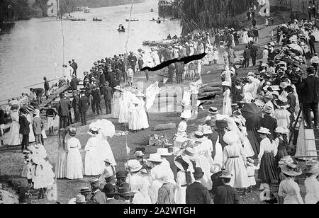 Negative - Bairnsdale Bezirk, Victoria, um 1910, Massen an der Henley auf der Mitchell River Stockfoto