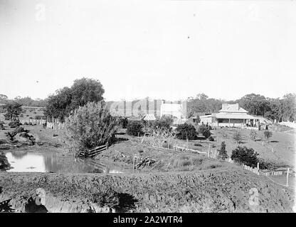 Negative - New South Wales, etwa um 1900, das Gehöft auf 'Warrakoo' Bahnhof, auf dem Murray River Stockfoto