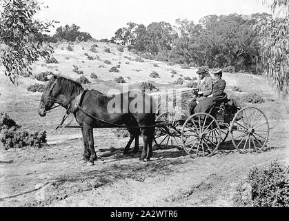Negative - New South Wales, etwa um 1900, eine gut gekleidete Paar in Pferd und Wagen in Sandhills auf 'Warrakoo" Station. Die Darling River ist sichtbar auf der rechten Seite Stockfoto