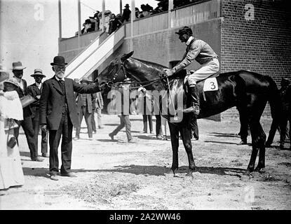 Negative - Wentworth, New South Wales, 1912, ein Rennpferd mit seinen Jockey und seinen Besitzer. Es ist eine Tribüne im Hintergrund Stockfoto