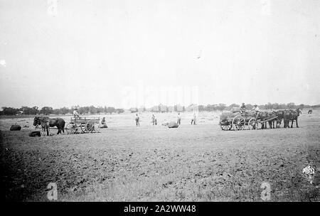 Negative - Wentworth District, New South Wales, ca. 1905, Trocknen wolle Ballen, die sich aus der versunkenen Barge Florenz Annie" eingezogen worden sind. Die Ballen auf den Boden platziert. Es gibt zwei Pferdekutschen. Die Eigenschaft 'Balcatherine' Bahnhof Stockfoto