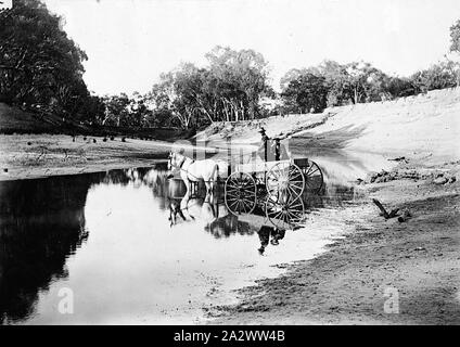Negative - Wentworth District, New South Wales, etwa 1915, zwei Männer Wattiefe den Darling River in einem Pferd und Wagen. Sie sind auf 'Balcatherine' Bahnhof Stockfoto