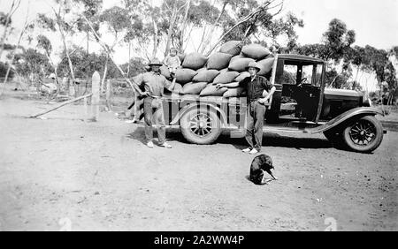 Negative - Ginquim, Victoria, 1932, zwei Männer mit einer LKW-Ladung von Eingesackt Weizen bereit zum Bahnhof genommen zu werden. Ein kleines Mädchen sitzt auf dem Weizen Stockfoto