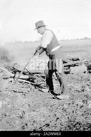 Negative - Red Cliffs, Victoria, 1922 Mann clearing Land Stockfoto