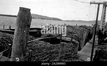 Negative - Palmer Island, New South Wales, 1934, Lastkähne bis zu einem Pier am Clarence River gefüttert Stockfoto