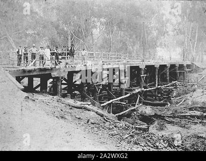 Negative - Shepparton Bezirk, Victoria, ca. 1905, Bau einer hölzernen Brücke über den Goulburn River Stockfoto