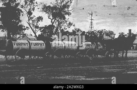 Negative - Shepparton Bezirk, Victoria, ca. 1905, Pferde ziehen eine Reihe von Furphy wasser Karren Stockfoto