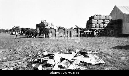 Negative - balranald District, New South Wales, ca. 1925, Pferdewagen Lasten aus Wolle die Ballen auf 'Tin Tin' Station Stockfoto