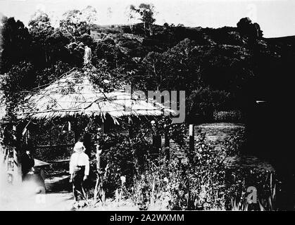 Negative - Daylesford, Victoria, ca. 1930, eine urige Hütte am Lake Daylesford Stockfoto