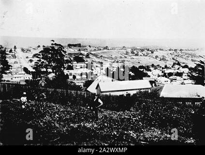 Negative - Daylesford, Victoria, ca. 1930, Forbes von Wombat Hill. Ein Mann und eine Frau stehen unter Reben (?) im Vordergrund. Stockfoto