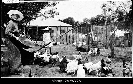 Negative - Nullawil Bezirk, Victoria, 1924, eine Frau, die Fütterung von Hühnern und Enten. Ein junges Mädchen beobachtet, und es ist ein Bauernhaus im Hintergrund Stockfoto