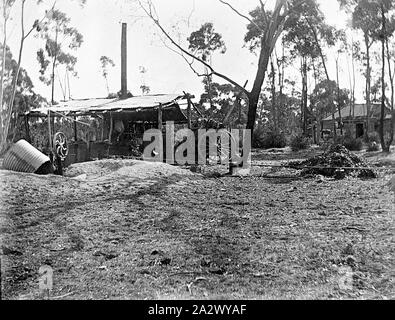 Negative - Eucalytus Distillery, kahle Hügel, über Pakenham, Victoria, um 1910, Bush eukalyptus Brennerei in eine einfache, offene untergebracht-seitig Holz Pfosten umrahmten Halle mit Wellpappe verzinktes Eisen, Dach und Schornstein. Es gibt einen Pferdeschlitten tipp Dray, gespitzt eucalytus Blätter auf der rechten Seite zu kippen - Ende der Halle. Vor dem Schuppen ist ein Wellblech Wassertank auf die Seite und was sieht aus wie eine kleine Dampf Pumpe. Es ist ein halb verfallenes timebr Cottage mit Wellpappe Stockfoto